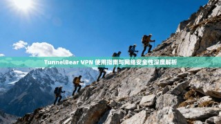 TunnelBear VPN 使用指南与网络安全性深度解析