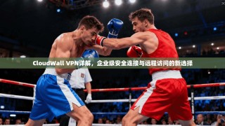 CloudWall VPN详解，企业级安全连接与远程访问的新选择