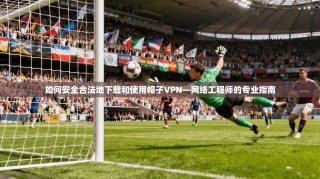 如何安全合法地下载和使用帽子VPN—网络工程师的专业指南