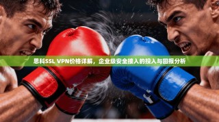 思科SSL VPN价格详解，企业级安全接入的投入与回报分析