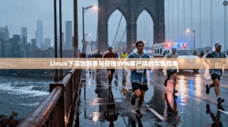 Linux下高效部署与管理VPN客户端的完整指南