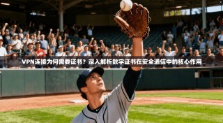 VPN连接为何需要证书？深入解析数字证书在安全通信中的核心作用