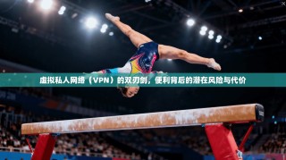 虚拟私人网络（VPN）的双刃剑，便利背后的潜在风险与代价