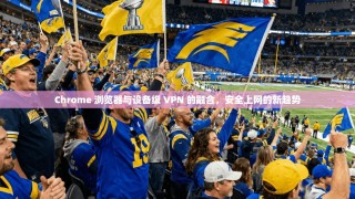 Chrome 浏览器与设备级 VPN 的融合，安全上网的新趋势