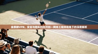 金麒麟VPN，安全与隐私的双刃剑—网络工程师视角下的深度解析