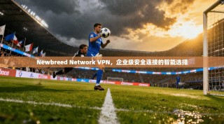 Newbreed Network VPN，企业级安全连接的智能选择