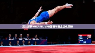 深入解析WHU SSL VPN部署与安全优化策略