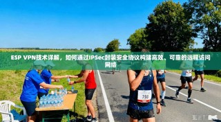 ESP VPN技术详解，如何通过IPSec封装安全协议构建高效、可靠的远程访问网络
