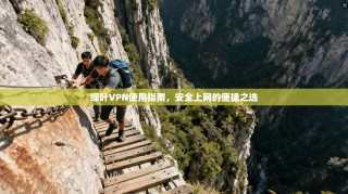 绿叶VPN使用指南，安全上网的便捷之选
