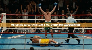 Windows Server 2003环境下SSL VPN的配置与安全实践指南