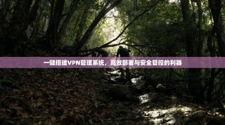 一键搭建VPN管理系统，高效部署与安全管控的利器
