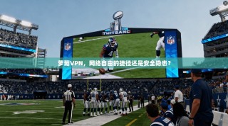 萝葡VPN，网络自由的捷径还是安全隐患？