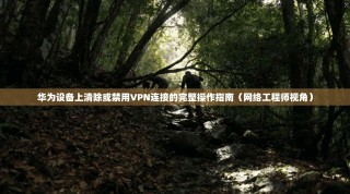 华为设备上清除或禁用VPN连接的完整操作指南（网络工程师视角）
