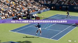 App Store 中使用 VPN 服务后申请退款的全流程与注意事项