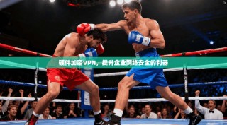 硬件加密VPN，提升企业网络安全的利器