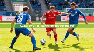 Packet VPN，现代网络架构中的安全与效率之选