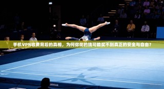 手机VPN收费背后的真相，为何你花的钱可能买不到真正的安全与自由？