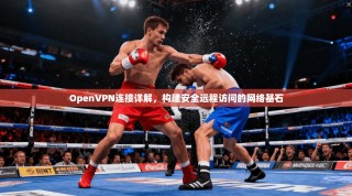 OpenVPN连接详解，构建安全远程访问的网络基石