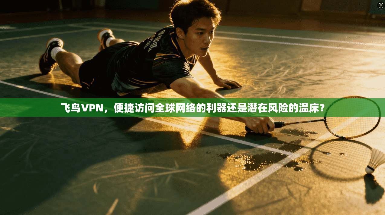 飞鸟VPN，便捷访问全球网络的利器还是潜在风险的温床？