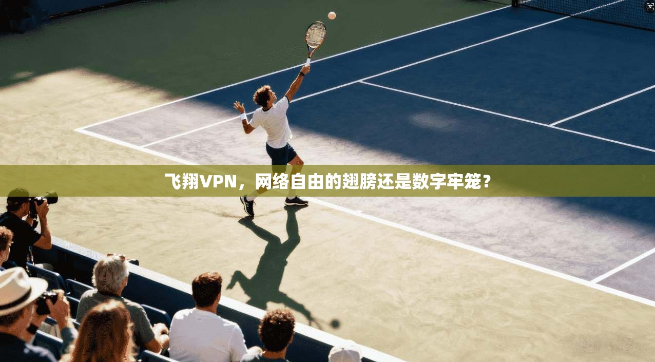 飞翔VPN，网络自由的翅膀还是数字牢笼？