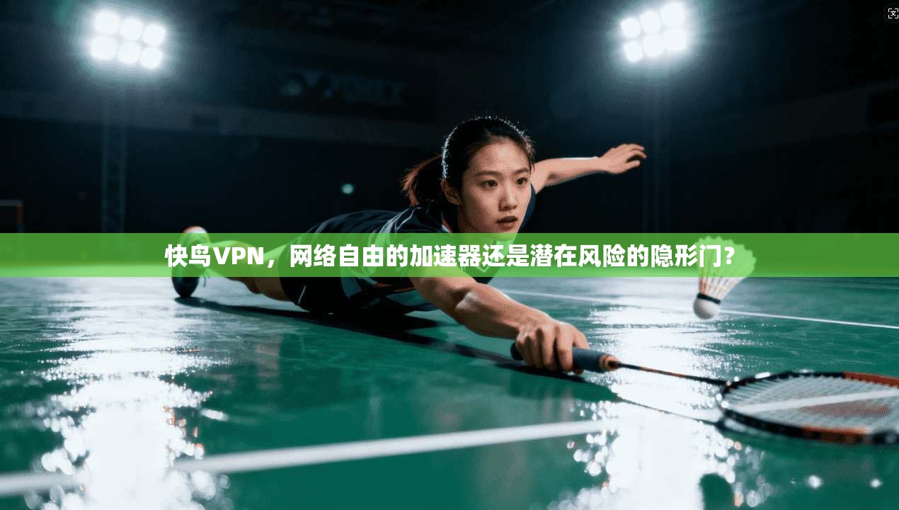 快鸟VPN，网络自由的加速器还是潜在风险的隐形门？