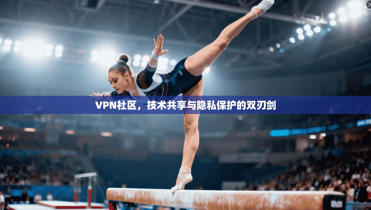 VPN社区，技术共享与隐私保护的双刃剑
