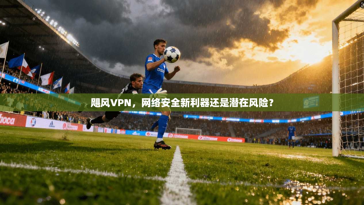 飓风VPN，网络安全新利器还是潜在风险？