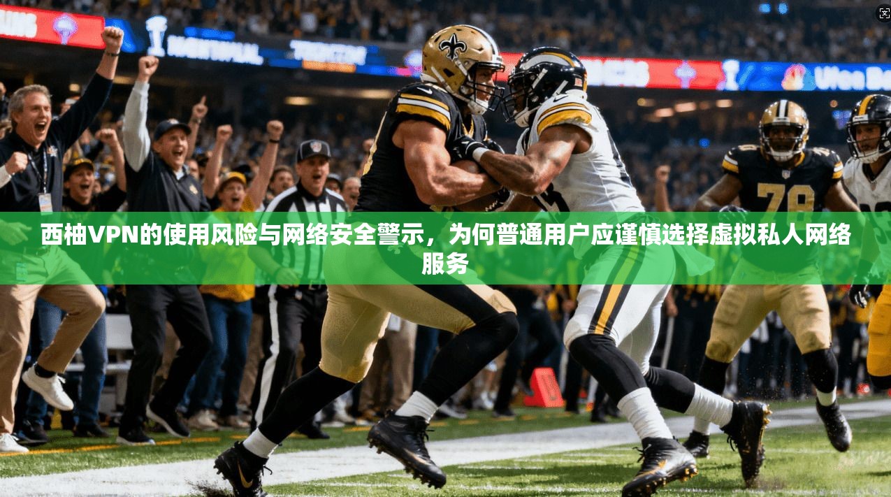 西柚VPN的使用风险与网络安全警示，为何普通用户应谨慎选择虚拟私人网络服务