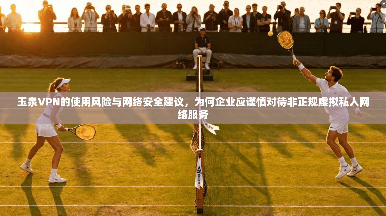 玉泉VPN的使用风险与网络安全建议，为何企业应谨慎对待非正规虚拟私人网络服务