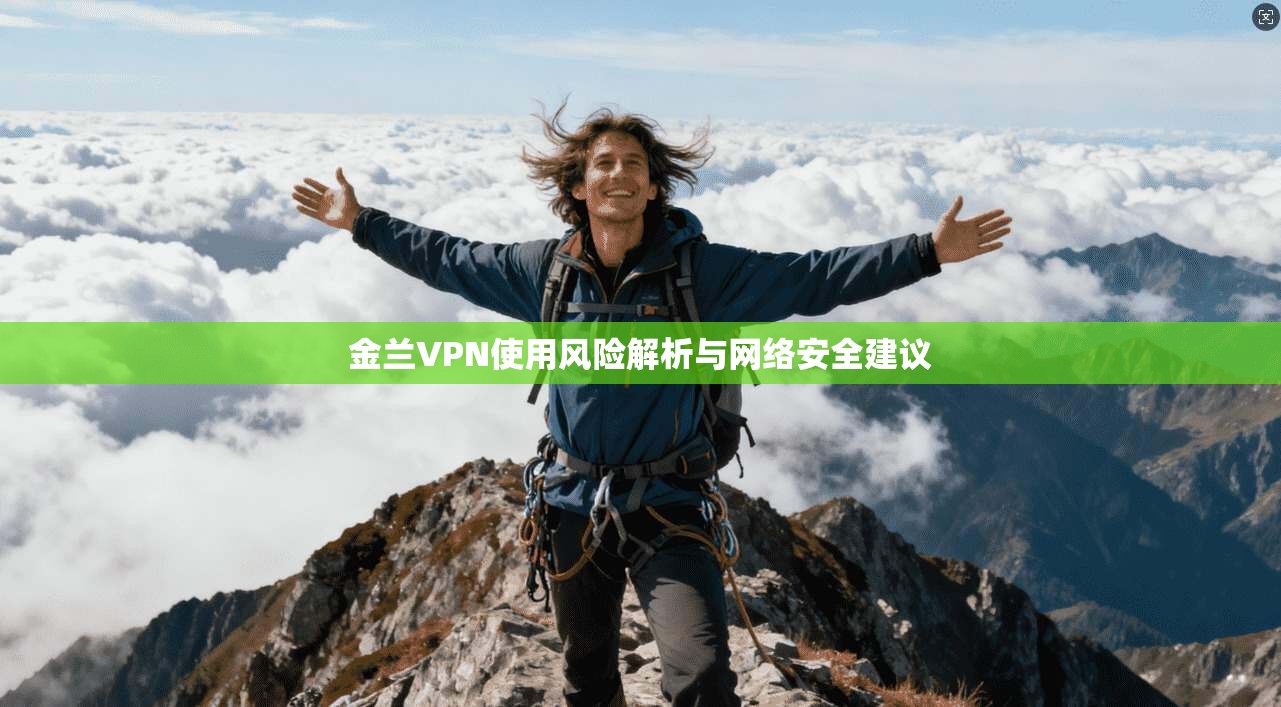 金兰VPN使用风险解析与网络安全建议