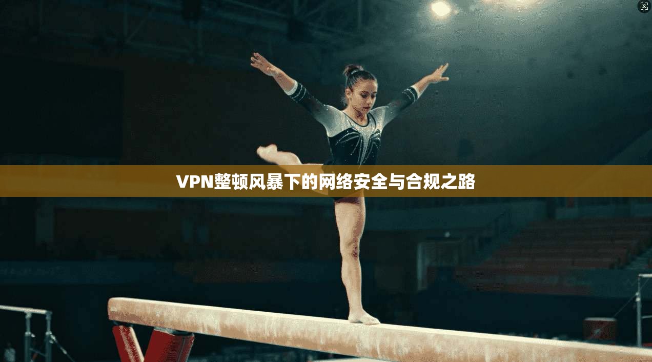 VPN整顿风暴下的网络安全与合规之路