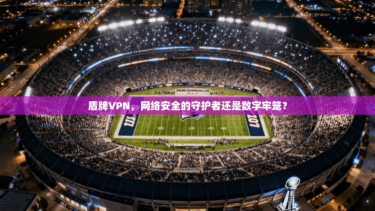 盾牌VPN，网络安全的守护者还是数字牢笼？