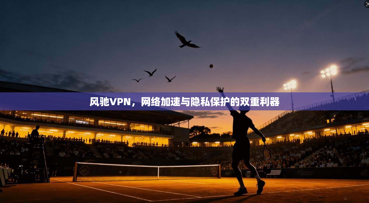 风驰VPN，网络加速与隐私保护的双重利器