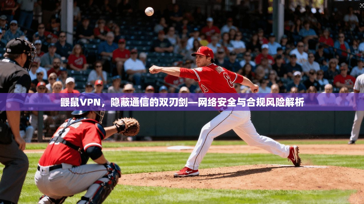 鼹鼠VPN，隐蔽通信的双刃剑—网络安全与合规风险解析