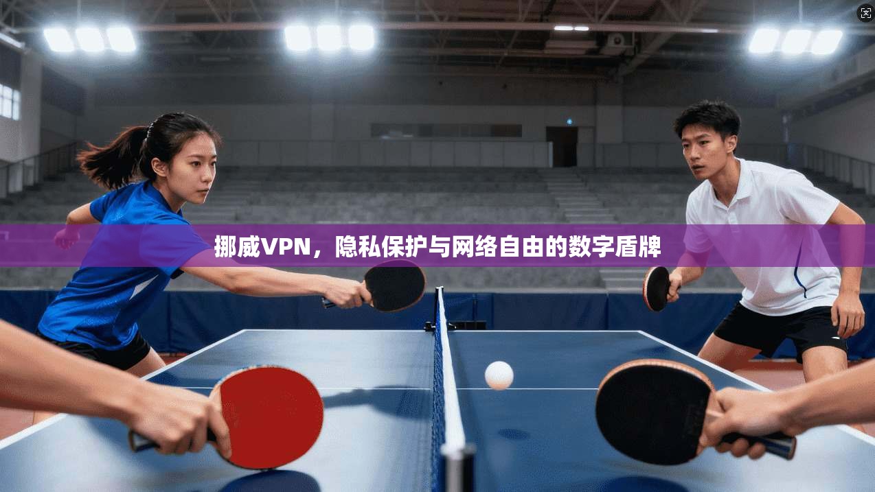 挪威VPN，隐私保护与网络自由的数字盾牌