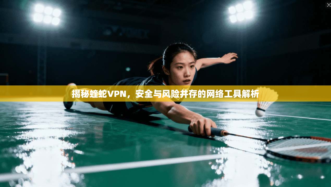 揭秘蝰蛇VPN，安全与风险并存的网络工具解析