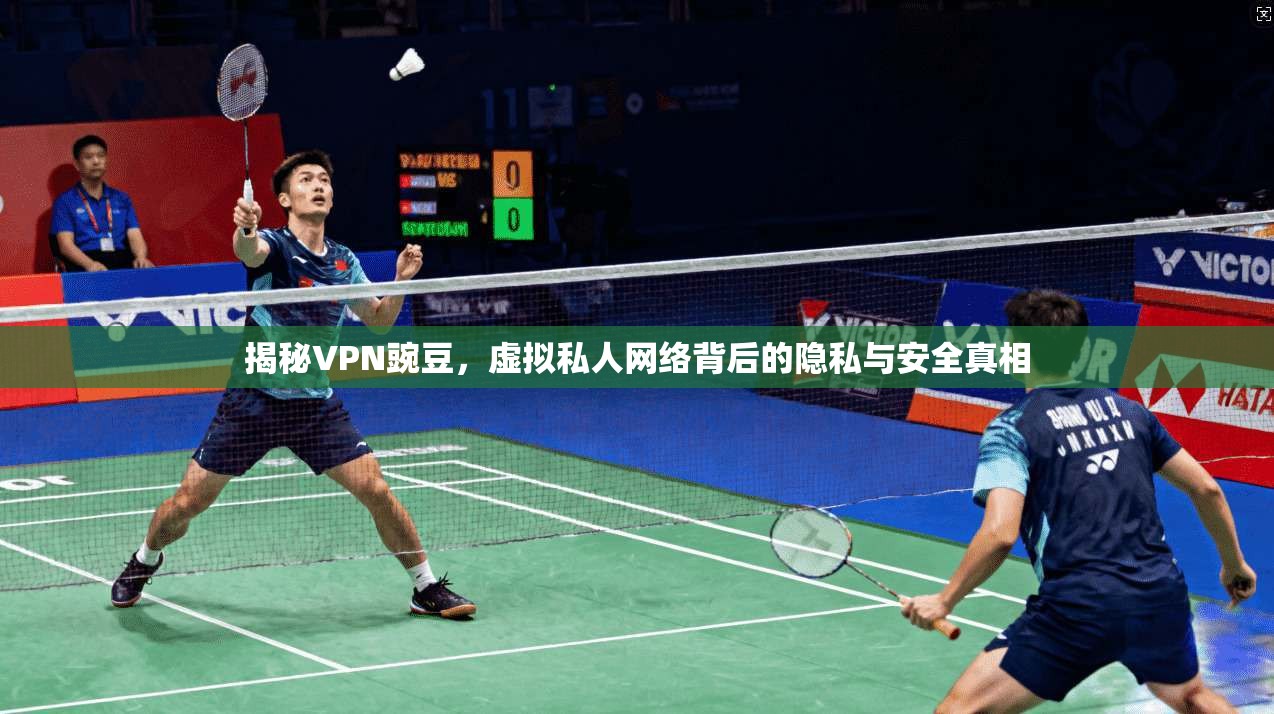 揭秘VPN豌豆，虚拟私人网络背后的隐私与安全真相