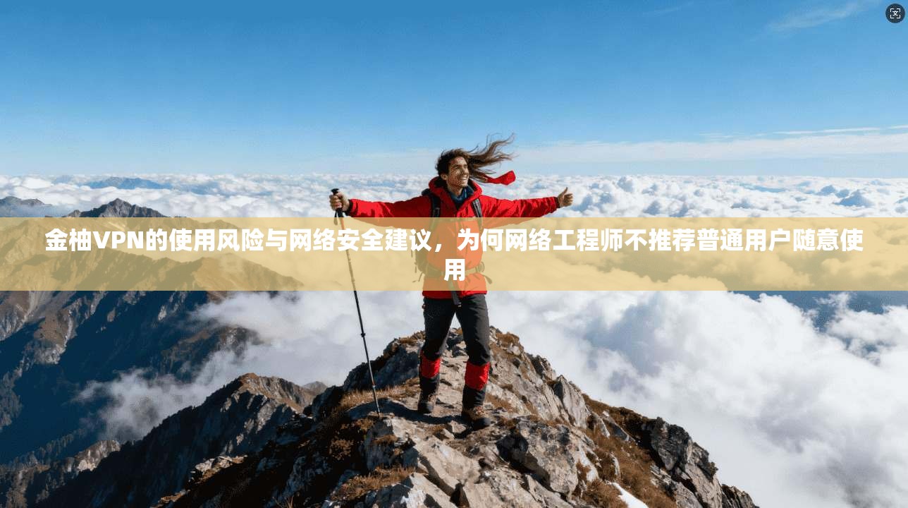 金柚VPN的使用风险与网络安全建议，为何网络工程师不推荐普通用户随意使用