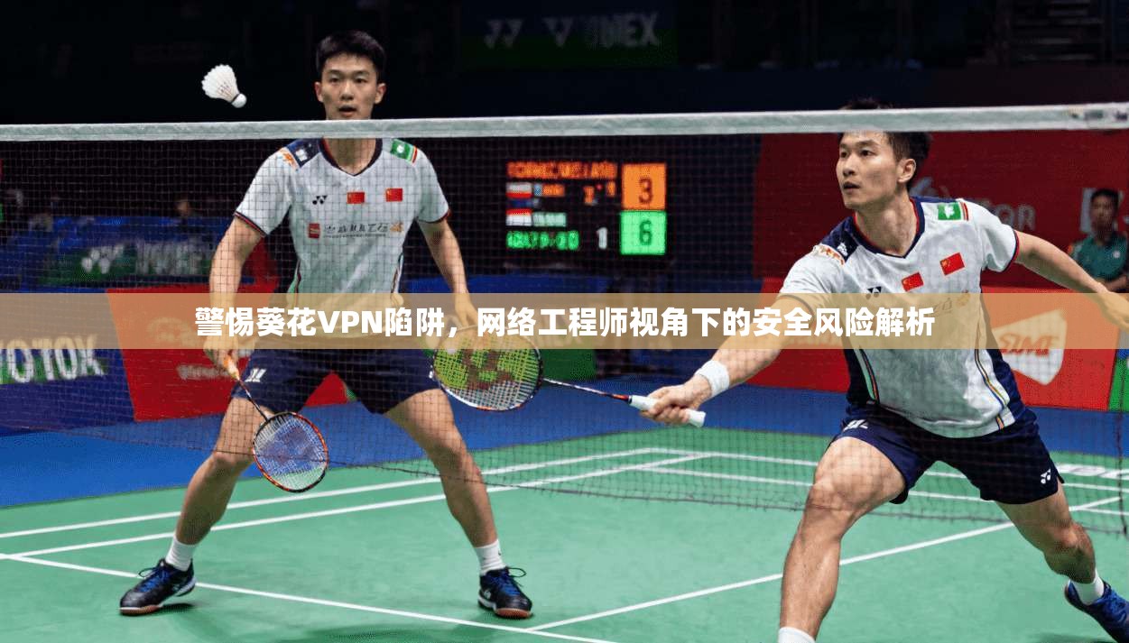 警惕葵花VPN陷阱，网络工程师视角下的安全风险解析