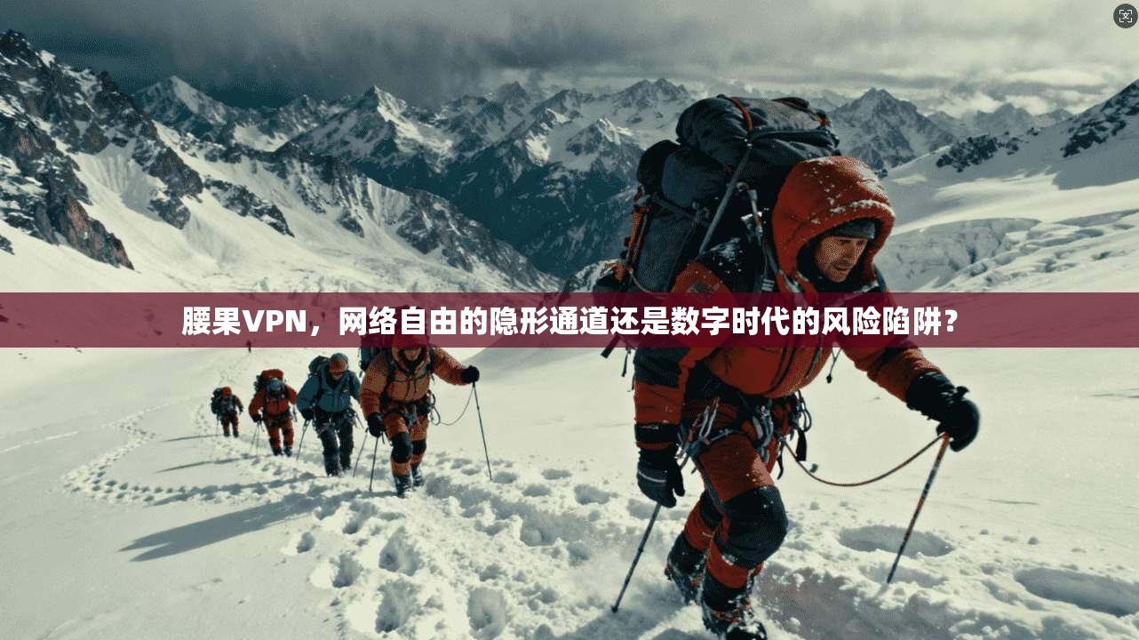 腰果VPN，网络自由的隐形通道还是数字时代的风险陷阱？