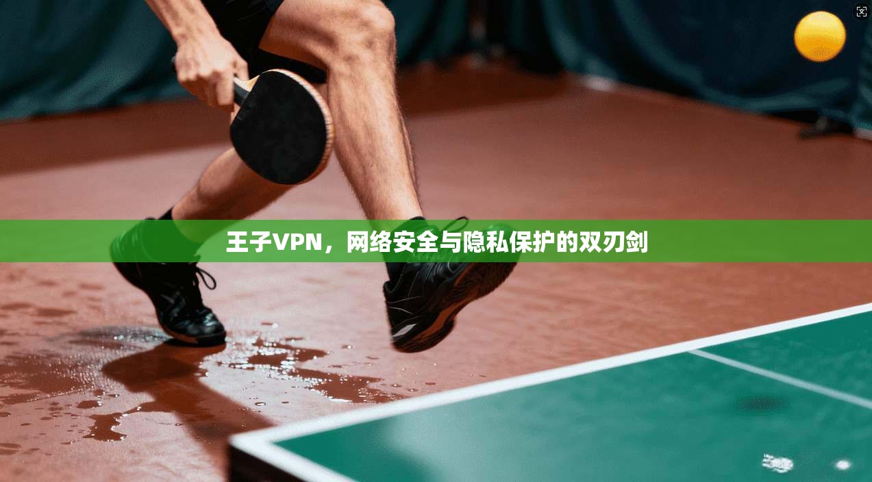 王子VPN，网络安全与隐私保护的双刃剑