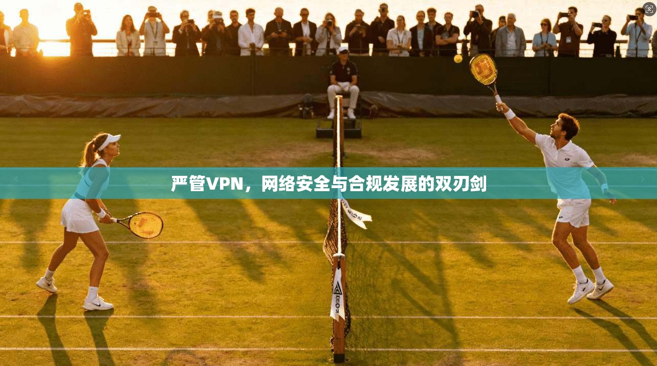 严管VPN，网络安全与合规发展的双刃剑