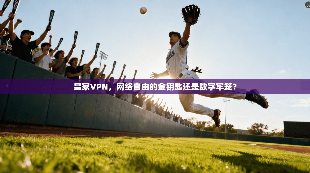 皇家VPN，网络自由的金钥匙还是数字牢笼？