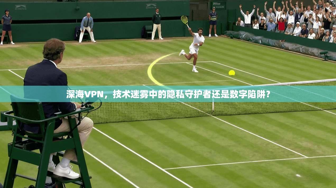 深海VPN，技术迷雾中的隐私守护者还是数字陷阱？