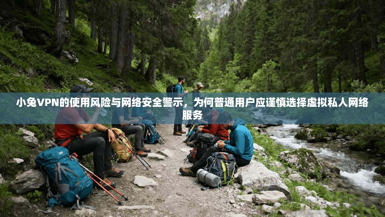 小兔VPN的使用风险与网络安全警示，为何普通用户应谨慎选择虚拟私人网络服务
