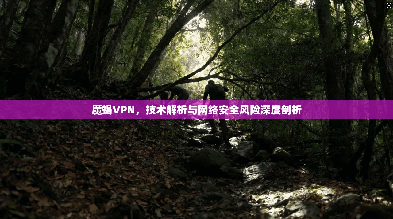 魔蝎VPN，技术解析与网络安全风险深度剖析
