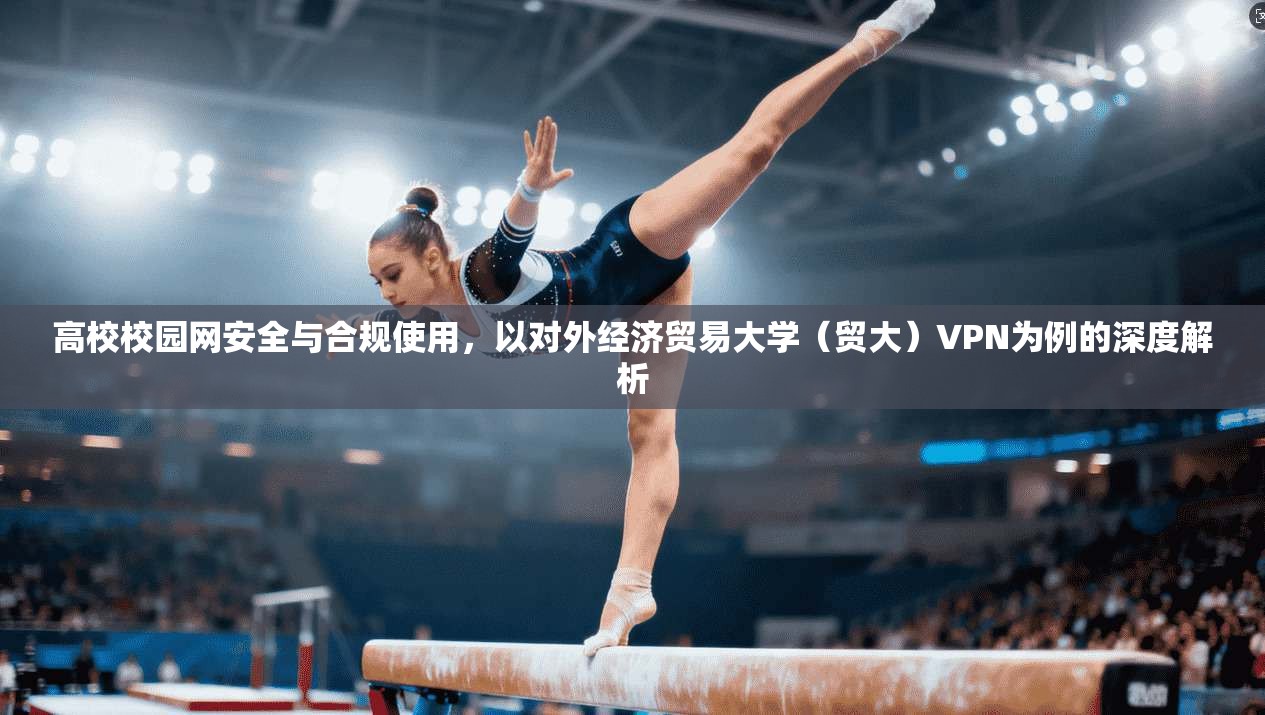 高校校园网安全与合规使用，以对外经济贸易大学（贸大）VPN为例的深度解析
