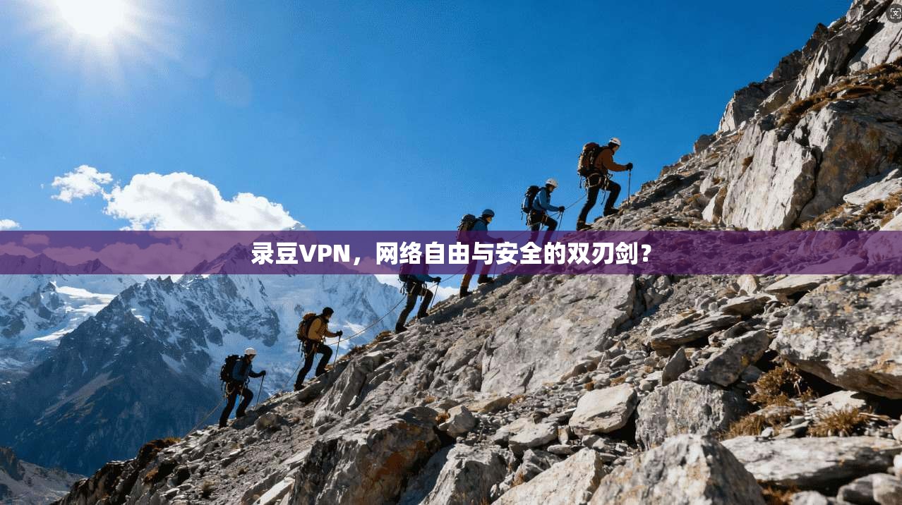录豆VPN，网络自由与安全的双刃剑？