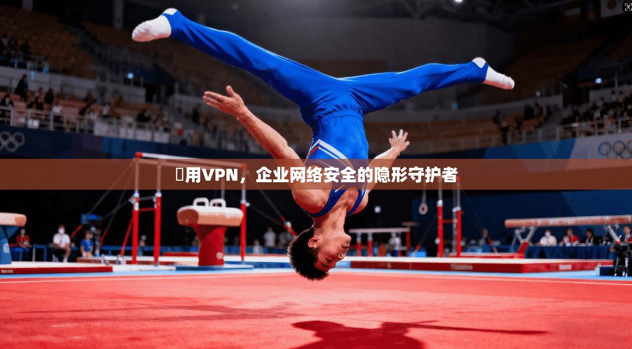 專用VPN，企业网络安全的隐形守护者