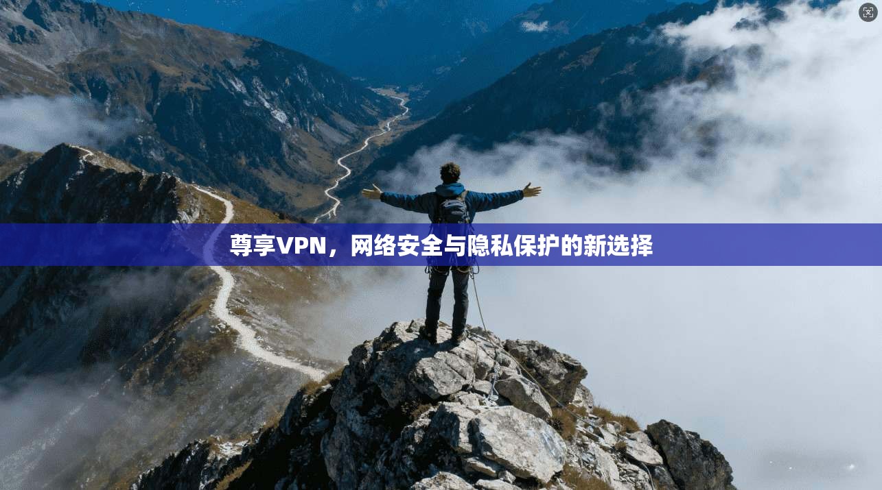 尊享VPN，网络安全与隐私保护的新选择